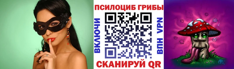 Купить  Камешково  Галлюциногенные грибы Magic Shrooms 